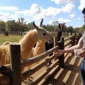 Meet your Posher, Tom